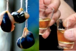 Nhiễm độc gan vì … uống mật
